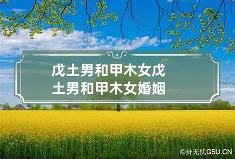 查婚姻八字合不合_如何测八字看婚姻合不合,第17张