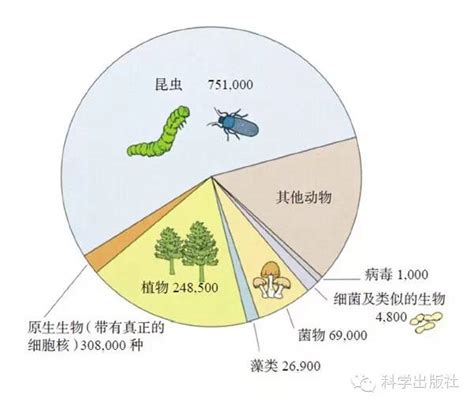 梅花易数起卦_梅花易数起卦方法详解,第19张