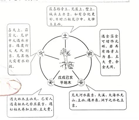 一甲子等于几年_六十甲子口诀顺口溜,第23张