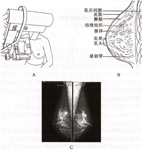 女人短命的十大征兆_女人短命的十大征兆眼睛无神,第3张