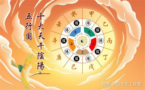 五常指的是什么_古代五常指的是什么,第4张