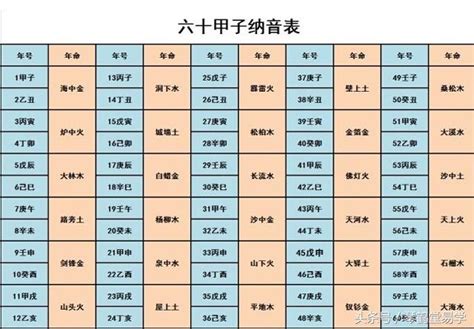 生辰八字五行什么命_五行八字命运如何,第4张