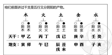 夫妻其实早就命中注定_为什么会离婚,第12张