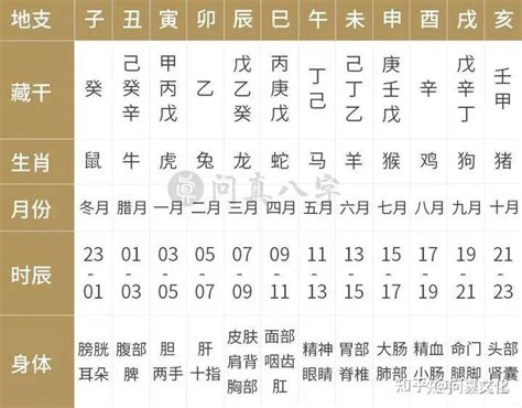 八字纯阴男命克人吗?_八字纯阴男命克妻子吗,第3张 八字纯阴男命克人吗?_八字纯阴男命克妻子吗,第3张