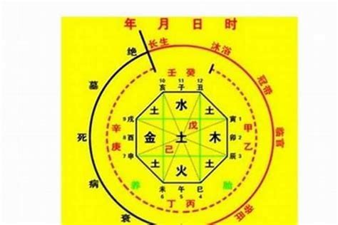 生辰八字五行算命查询_如何查询五行八字算命,第11张