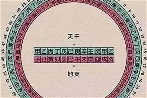 金舆在八字中代表什么意思_日柱金舆在八字中代表什么意思,第3张