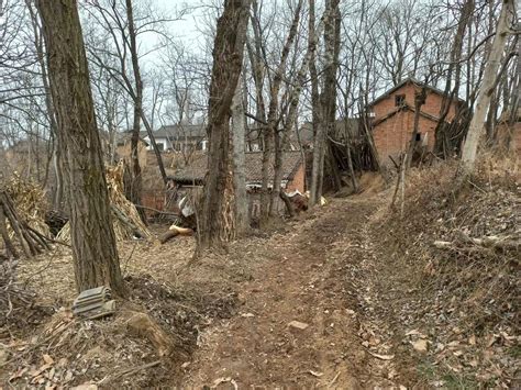 日柱查询表_日柱日元,第10张 日柱查询表_日柱日元,第10张