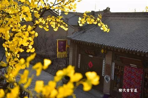 土命最厉害的是哪种_土命最厉害的哪种土?有什么说法,第3张 土命最厉害的是哪种_土命最厉害的哪种土?有什么说法,第3张