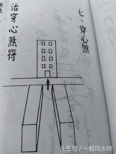 天运五行属木是什么意思_天运五行属木,第3张 天运五行属木是什么意思_天运五行属木,第3张