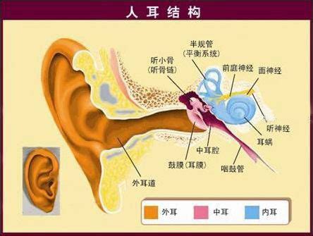 预兆你即将发大财的四征兆_预示你即将要发财的四大征兆,第13张