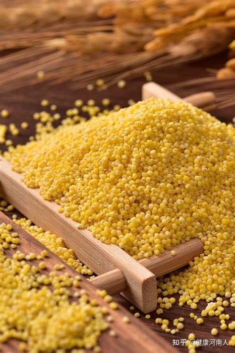 今日财神方位在哪里_打牌身上带什么旺,第9张 今日财神方位在哪里_打牌身上带什么旺,第9张