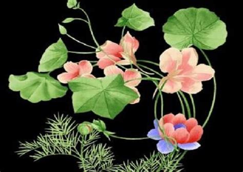 八字看子女富贵程度_八字看子女富贵程度怎么看,第9张 八字看子女富贵程度_八字看子女富贵程度怎么看,第9张