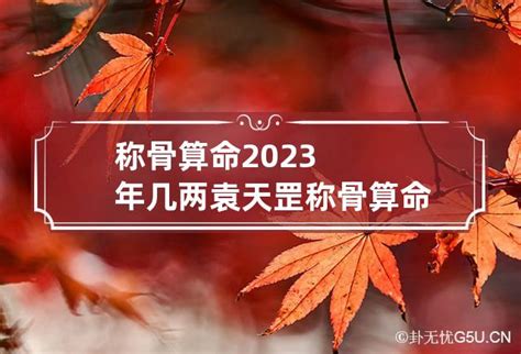 称骨算命2023年属兔出生哪月好_2023年兔年几两几钱,第8张