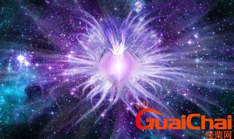 身上有灵性有什么表现_9种身上有灵性的征兆,第13张 身上有灵性有什么表现_9种身上有灵性的征兆,第13张