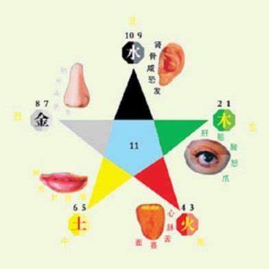 五行属木适合做什么行业_五行属木适合在哪个方向,第4张 五行属木适合做什么行业_五行属木适合在哪个方向,第4张