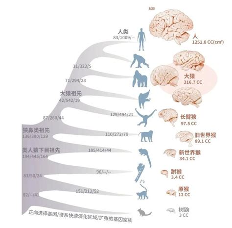 三元九运离火运哪些八字的人好运_三元九运离火运2024-2043年,第7张