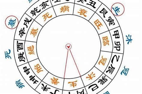 男命无婚姻的八字特征_男命无婚姻的八字特点,第10张