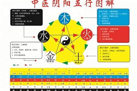 生辰八字五行起名宜忌_宝宝生辰八字起名禁忌,第5张