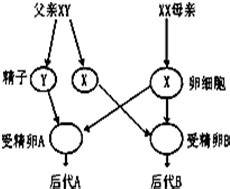 男女合婚八字主要看什么_八字合婚最重要看什么,第13张