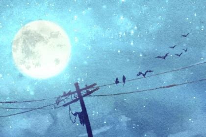 伤官见官什么意思_伤官见官的女命,第9张 伤官见官什么意思_伤官见官的女命,第9张