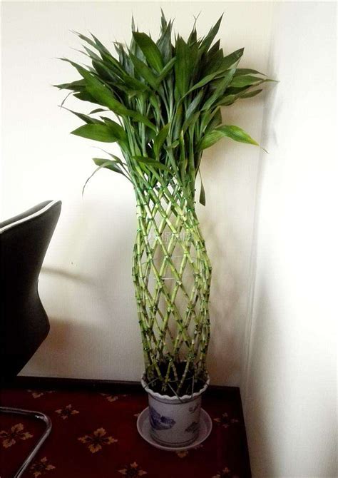 缺土的男人适合佩戴什么_男孩五行缺土佩戴什么好,第12张 缺土的男人适合佩戴什么_男孩五行缺土佩戴什么好,第12张