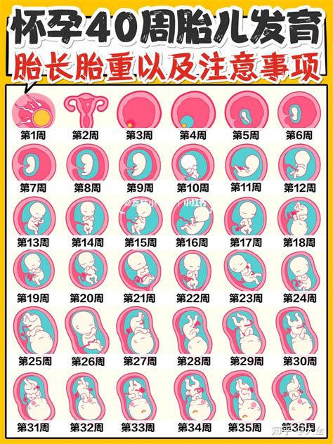 生男生女图2022年推算表准确吗_清宫表2022年生男生女图准确性是多少2022,第5张