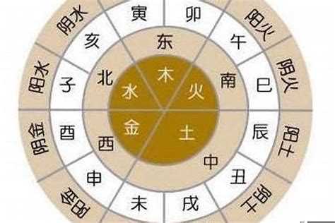 戊子日柱2023年癸卯年运势_戊子日柱走什么大运好,第4张