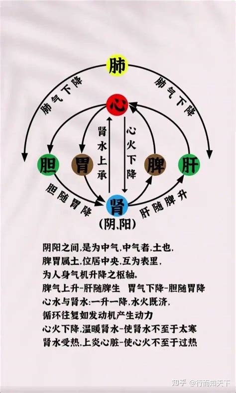 伤官配印男命配偶_伤官配印男命性格,第19张