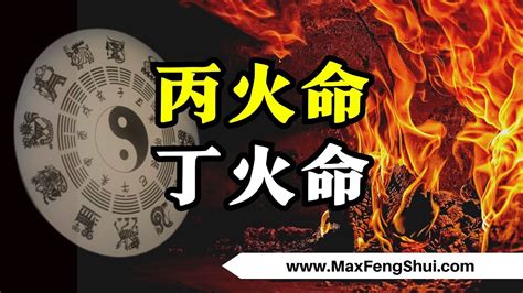 五常指的是什么_古代五常指的是什么,第5张