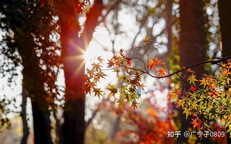 今日财神方位在哪里_打牌身上带什么旺,第10张 今日财神方位在哪里_打牌身上带什么旺,第10张