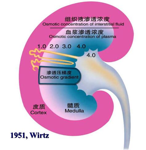 金木水火土五行都不缺的人_金木水火土五行对应的五脏,第5张