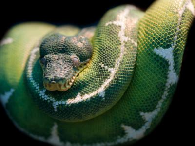 有仙家折腾你的症状_有仙家折腾你的症状胃难受吗,第4张 有仙家折腾你的症状_有仙家折腾你的症状胃难受吗,第4张