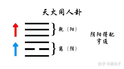 山雷颐卦感情_山雷颐卦求事业,第8张