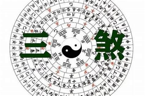 旺夫的女命八字特征是什么_旺夫的女命八字特征分析,第9张