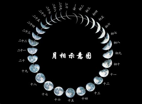 11月领证的好日子_11月领证黄道吉日查询2022年,第10张