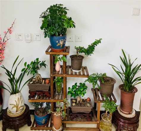 缺土的男人适合佩戴什么_男孩五行缺土佩戴什么好,第13张 缺土的男人适合佩戴什么_男孩五行缺土佩戴什么好,第13张