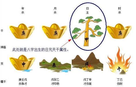 容易出学霸的日柱_容易出学霸的日柱壬申,第5张