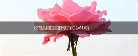 夫妻缘尽的13种表现_夫妻超过三条迟早离婚,第21张