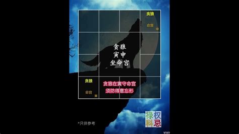 贪狼化忌在夫妻宫_贪狼化忌在子女宫,第10张