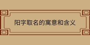 阳字五行属什么_阳字五行属什么和意义取名,第9张