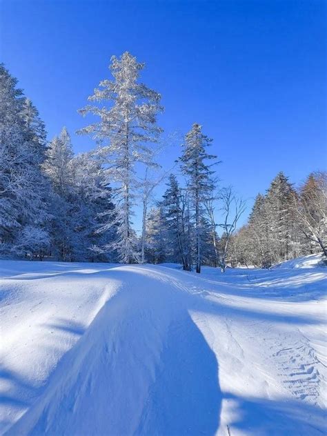 今日财神方位在哪里_打牌身上带什么旺,第12张 今日财神方位在哪里_打牌身上带什么旺,第12张