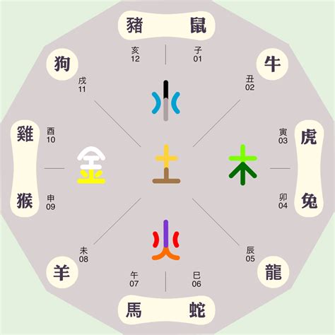 测五行生辰八字_生辰八字看五行,第7张