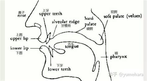 五行属水的字有哪些字男孩用_适合男孩属水的字,第13张