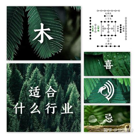 五行属木适合做什么行业_五行属木适合在哪个方向,第7张 五行属木适合做什么行业_五行属木适合在哪个方向,第7张