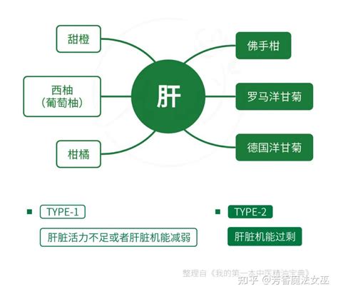 金木水火土五行都不缺的人_金木水火土五行对应的五脏,第8张