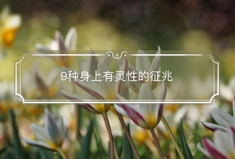 身上有灵性有什么表现_9种身上有灵性的征兆,第17张 身上有灵性有什么表现_9种身上有灵性的征兆,第17张