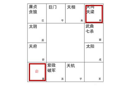 天同入命宫_天同星入财帛宫,第19张