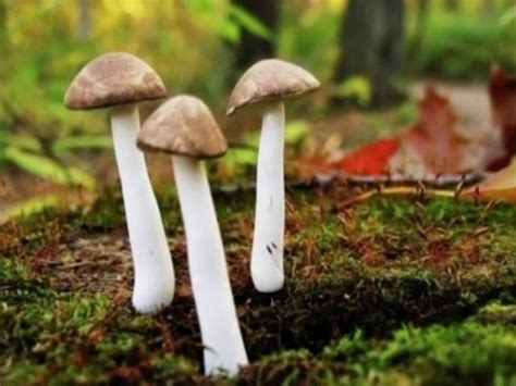 快要发大财的征兆有哪些_真正快要发大财的征兆,第16张 快要发大财的征兆有哪些_真正快要发大财的征兆,第16张