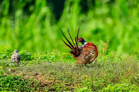 属火的行业有哪些_未来属火的行业有哪些,第15张 属火的行业有哪些_未来属火的行业有哪些,第15张