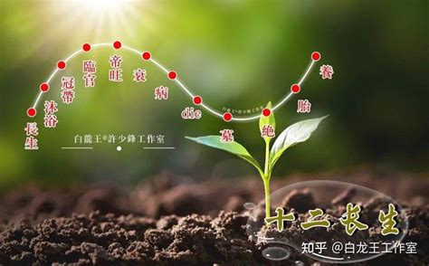 日柱代表什么_日柱怎么算,第30张 日柱代表什么_日柱怎么算,第30张